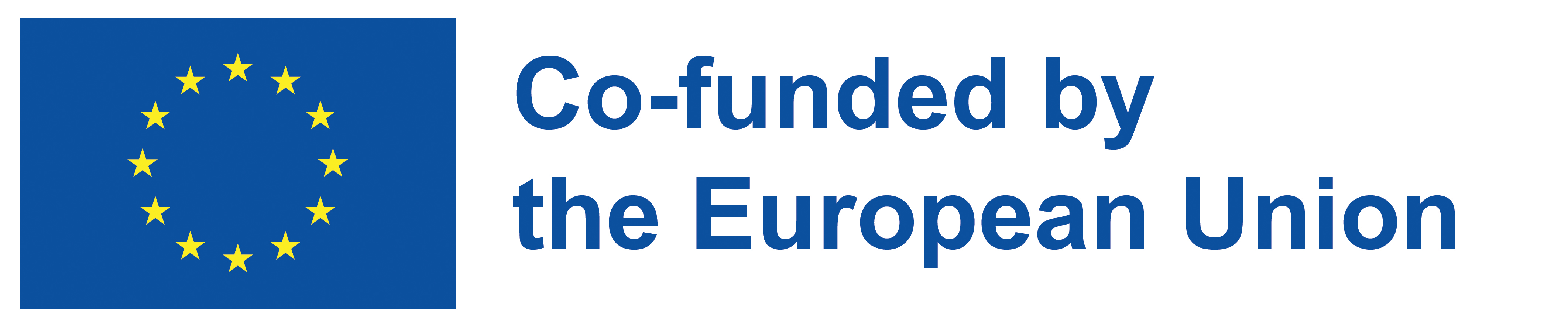 Logo: European Union emblem and text: Co-funded by the European Union 