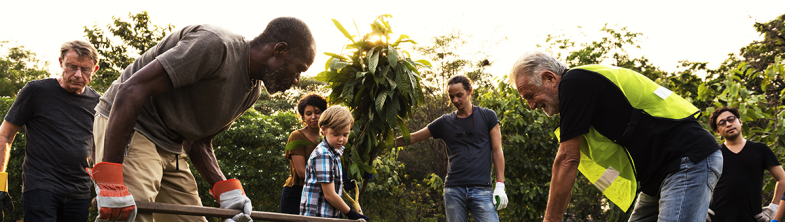 A group of people of different ages planting a tree