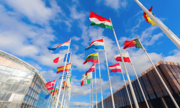 Colourful European flags flying against a blue sky